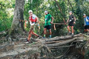 BIB: 
                            <button type="button" onclick="openModal(27743937)" class="btn btn-primary btn-sm float-right btn-popup" data-toggle="modal" data-target=".modal-high-quality">
                        <i class="fas fa-shopping-cart"></i> Add to Cart
                    </button>
                                            <button type="button" onclick="isThisMe(27743937, true)" class="btn btn-success btn-sm float-right btn-popup btn-isme hidden" data-toggle="tooltip" data-placement="bottom" title="นี่คือรูปของคุณใช่ไหม คลิกที่นี่เพื่อเอาเข้าอัลบั้ม">
                        <i class="fas fa-plus"></i> Add to album
                    </button>
                    <button type="button" onclick="isThisMe(27743937, false)" class="btn btn-warning btn-sm float-right btn-popup btn-isnotme hidden">
                        <i class="fas fa-ban"></i> Remove from album
                    </button>